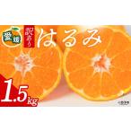 果物類 みかん 訳あり はるみ 合計約1.5kg