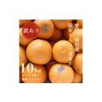 みかん 柑橘類 オレンジ 先行受付 まるで食べるジュース