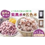 雑穀 五色米&紫黒米 古代米食べ比べセット 各2セット