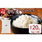米 パン 定期便 総計4回 産もち麦 キラリモチ