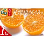 果物類 みかん 訳あり 愛媛果試48号 合計約1kg