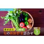 野菜類 定期便 6回 大阪能勢産 べじたぶるぱーくの旬の新鮮…