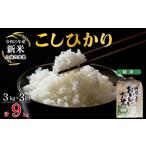 米 コシヒカリ 令和8年産 定期便 3ヶ月 こしひかり