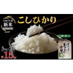米 コシヒカリ 令和8年産 定期便 3ヶ月 こしひかり