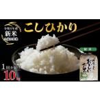 米 ヒノヒカリ 令和8年産 1回お届け ひのひかり