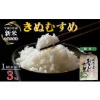 米 きぬむすめ 令和8年産 1回お届け 精米 3kg