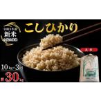 米 コシヒカリ 令和8年産 定期便 3ヶ月 こしひかり