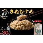 米 きぬむすめ 令和8年産 定期便 3ヶ月 玄米 10kg