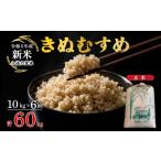 米 きぬむすめ 令和8年産 定期便 6ヶ月 玄米 10kg
