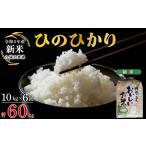 米 ヒノヒカリ 令和8年産 定期便 6ヶ月 ひのひかり