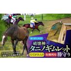御守り 破壊神タニノギムレットたてがみ入り牧柵利用勝守り