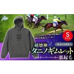 服 男 破壊神タニノギムレット セメントカラー