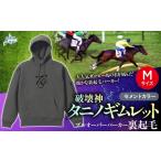 服 男 破壊神タニノギムレット セメントカラー
