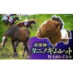ぬいぐるみ 破壊神タニノギムレット 特大ぬいぐるみ