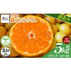 露地みかん 2S~Mサイズ 5kg