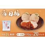 果物類 柿 市田柿 大粒2Lのみ厳選 約170g×20パック