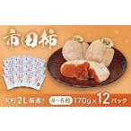 果物類 柿 市田柿 大粒2Lのみ厳選 約170g×12パック