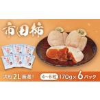 果物類 柿 市田柿 大粒2Lのみ厳選 約170g×6パック