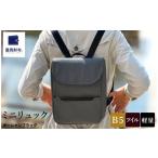 カバン リュック 豊岡鞄 ミニリュック AD3611