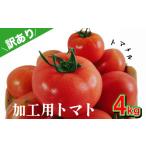 トマト 訳あり 加工用 4kg