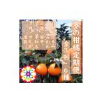 果物類 みかん 発送月固定定期便 愛咲果樹園