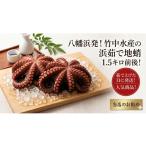 タコ 八幡浜発 竹中水産の浜茹で地蛸 三昧 1.5kg前後