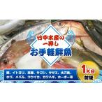 旬の鮮魚等 竹中水産の一押し お手軽鮮魚 1キロ前後
