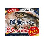 旬の鮮魚等 竹中水産の一押し お任せ鮮魚 2.5キロ前後