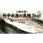 旬の鮮魚等 竹中水産の真鯖3キロ D22-240