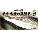 旬の鮮魚等 竹中水産の真鯖5キロ F22-241