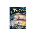 魚貝類 鯛 竹中水産の甘鯛 赤又は白 約1キロ