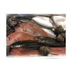 魚貝類 鯛 竹中水産の八幡浜発 朝獲れデイリー鮮魚BOX 2キロ