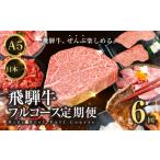 牛肉 ステーキ 飛騨牛全部楽しめる 飛騨牛フルコース定期便