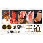 牛肉 ステーキ A5 飛騨牛 王道定期便 5回