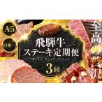 牛肉 ステーキ 至高の贅沢 飛騨牛A5ステーキ定期便