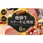 贅沢 飛騨牛 A5 ステーキ 6回 定期便