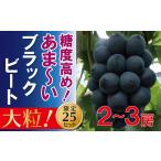 果物類 ぶどう 2026年発送 ブラックビート