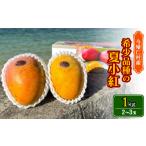 fu.... налог манго Okinawa префектура сейчас ...2026 год 7 месяц c последовательный отправка * ограниченное количество .книга@ манго .. редкий товар вид. лето маленький .1kg(2~3 шар ) 1664978