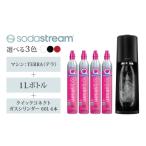 テラスターターキット ブラック +クイックコネクト新規ガス…