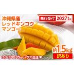 ミナミマンゴーハウスの赤金煌 レッドキンコウ