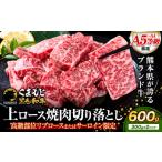 上赤身馬刺し100g×6セット 10ml×6袋