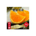 みかん 柑橘類 先行受付 トロッととろける果実