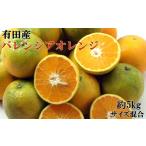 みかん 柑橘類 オレンジ 有田産バレンシアオレンジ 約5kg