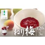 加工品等 梅干 ねり梅 120g×3P