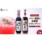 果汁飲料 ベリー農家の自家製シロップ2種セット