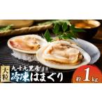 魚貝類 冷凍 はまぐり 蛤 大粒 1kg
