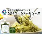 野菜類 加工品 発酵ジェノベーゼソース 150g×3個