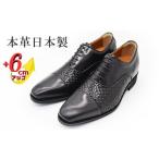 ファッション 靴 山羊革メッシュ ストレートチップ