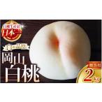 もも 2027年発送開始 桃 岡山白桃 約2kg
