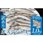 魚貝類 ししゃも 訳あり オスシシャモ 1.0kg